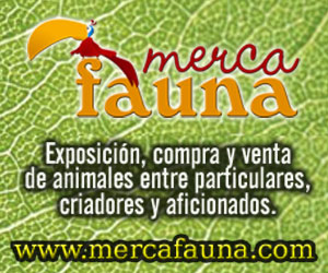 Venta de Animales